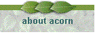about acorn